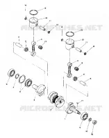 PISTON AND VILEBREQUIN (4909550955017A)