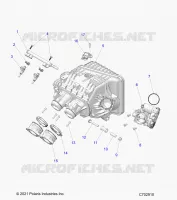 ENGINE, INTAKE INTAKE MANIFOLD, CORPS DE PAPILON, FUEL RAIL- Z24NMC99AM/BM (C702910)