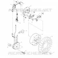 STATOR