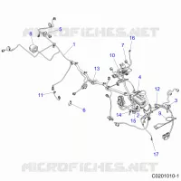 ELECTRICITE, HARNESS