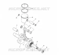 PISTON AND VILEBREQUIN  STARTRAK (4914141414037A)