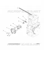 ENGINE, CORPS DE PAPILON AND FUEL RAIL