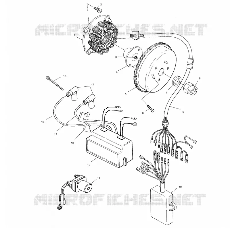 STATOR