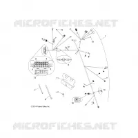 ELECTRICITE, HARNESS