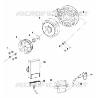 STATOR