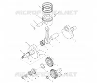 VILEBREQUIN AND PISTON