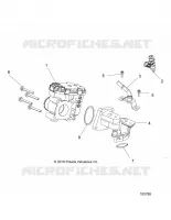 CORPS DE PAPILLON AND FUEL RAIL