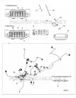 ELECTRICITE, HARNESS