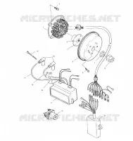 STATOR