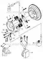 STATOR