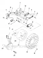 STATOR Trail (4912701270040A)