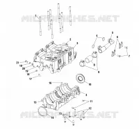 CARTERS MOTEUR