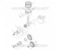 VILEBREQUIN AND PISTON