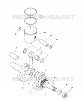 PISTON AND VILEBREQUIN STAR (4914151415024A)