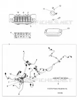 ELECTRICITE, HARNESS