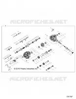 DRIVE TRAIN, PONT PRINCIPAL INTERNALS