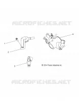CORPS DE PAPILLON