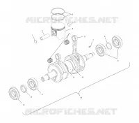 PISTON ET VILEBREQUIN (800)