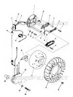 STATOR (TRAIL) (4909500950036A)