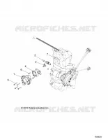 ENGINE, CORPS DE PAPILON AND FUEL RAIL