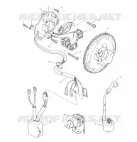 STATOR (SPORT)