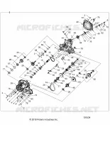 DRIVE TRAIN, PONT PRINCIPAL