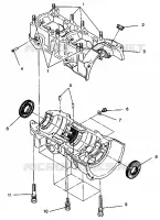 CARTERS MOTEUR ASSEMBLY 440 0942760 and 440 SKS 0942560 (4925072507030A)
