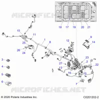 ELECTRICITE, HARNESS