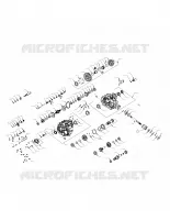 DRIVE TRAIN, PONT PRINCIPAL INTERNALS