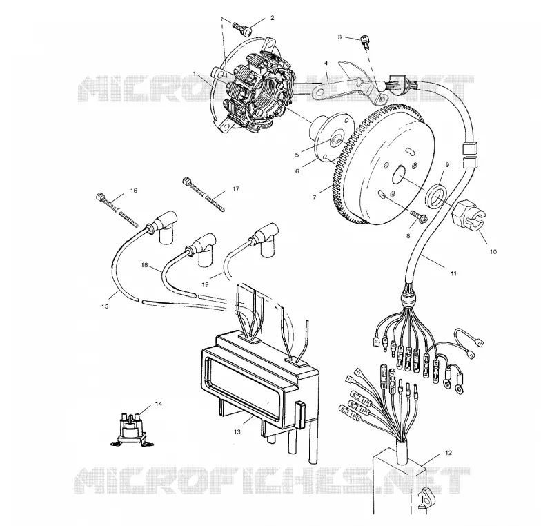 STATOR