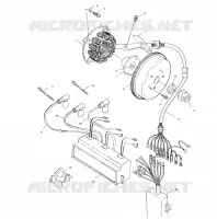 STATOR