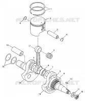 VILEBREQUIN AND PISTON XPLORER 300 W97CC28C (4939813981C012)