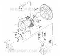 STATOR