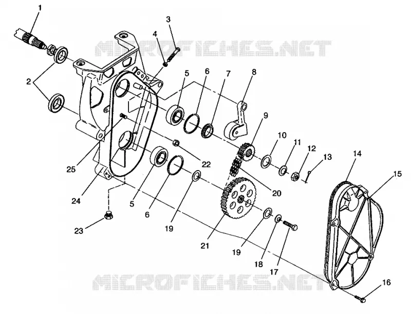 CARTER DE CHAINEE 500 EFI 0963774 AND EUROPEAN 500 EFI E963774 (4936183618B008)