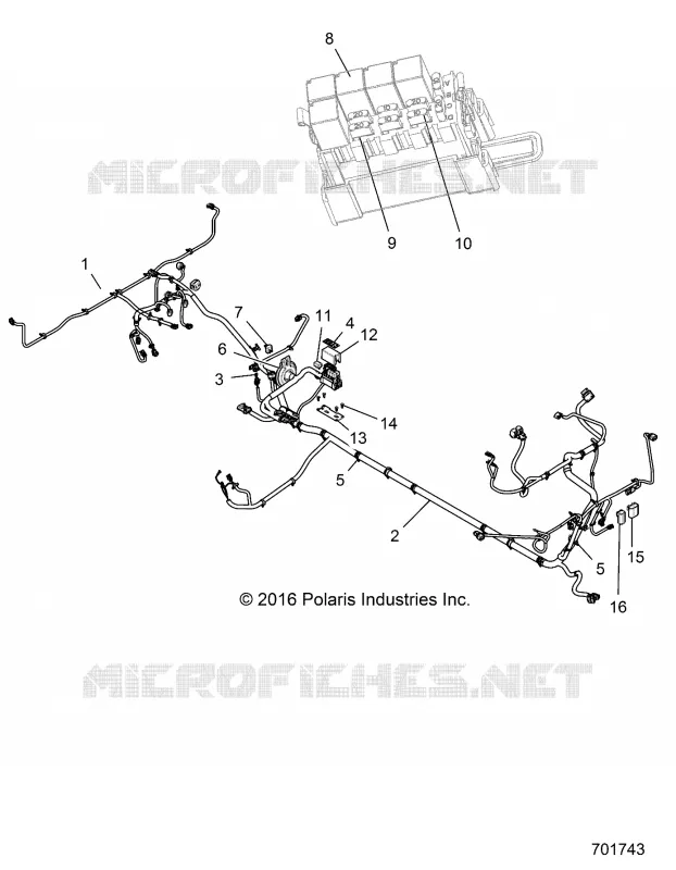 ELECTRICITE, HARNESS