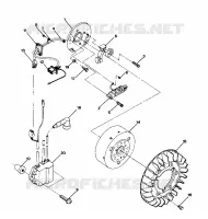 STATOR Trail (4919281928028A)