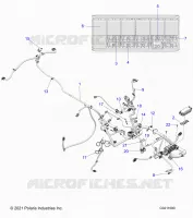 ELECTRICITE, HARNESS