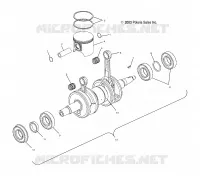 PISTON ET VILEBREQUIN (700/800)