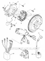 STATOR (400) XPRESS 400 W969540 (4935923592E005)