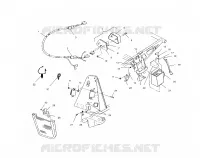 ELECTRICITE/FEU ARRIERE