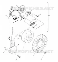 STATOR  Indy Lite (4918591859029A)