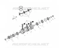 VILEBREQUIN AND PISTON