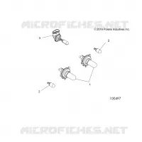 ELECTRICITE, BULBS