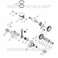 PISTON ET VILEBREQUIN 2X4 400L W947540 (4926752675C009)