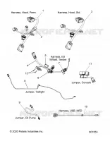 ELECTRICITE, JUMPERS/WIRE HARNESS