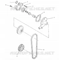 POMPE A EAU 440 XCR 0951660 (4929112911C011)