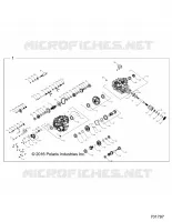 DRIVE TRAIN, PONT PRINCIPAL INTERNALS