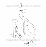 SIPHON