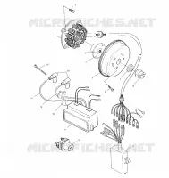 STATOR