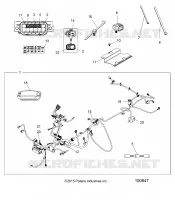 ELECTRICITE, HARNESS